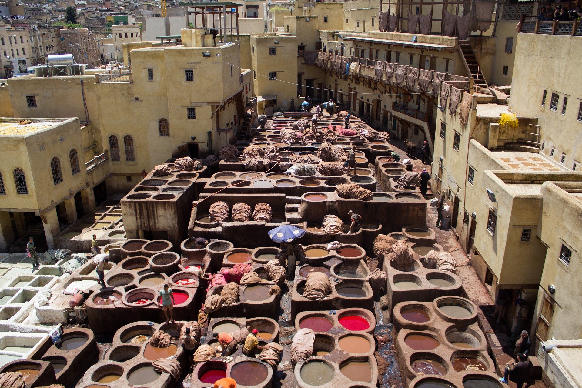 fez guided tour