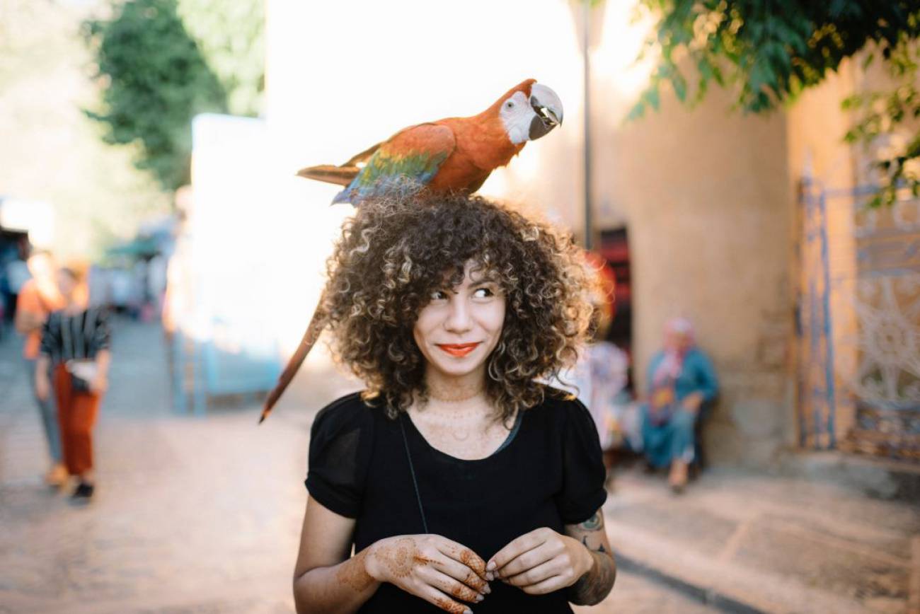 fez guided tour